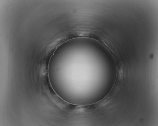 X0000112900620200908281727