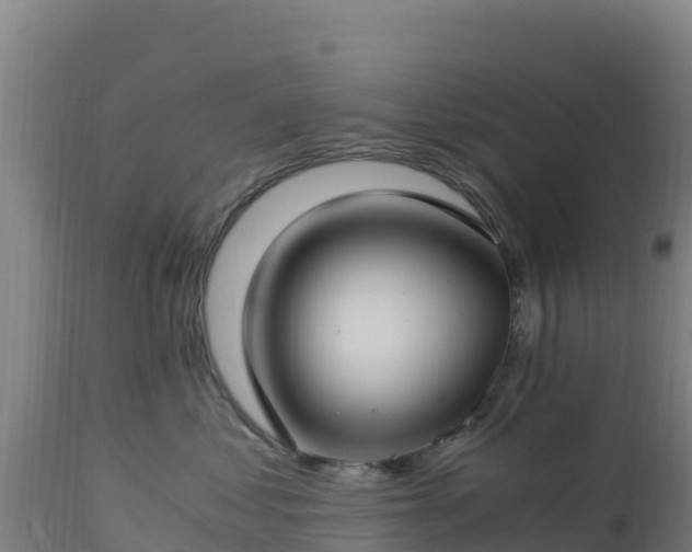 X0000112900621200908281727