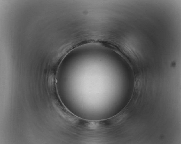 X0000112900623200908281727