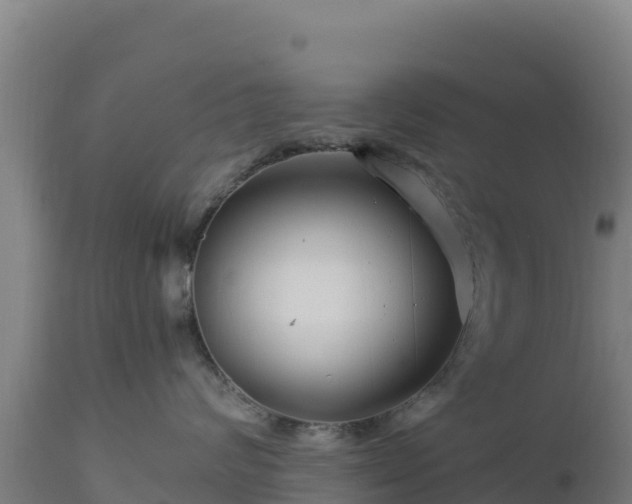 X0000112900624200908281727