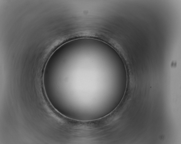 X0000112900625200908281726