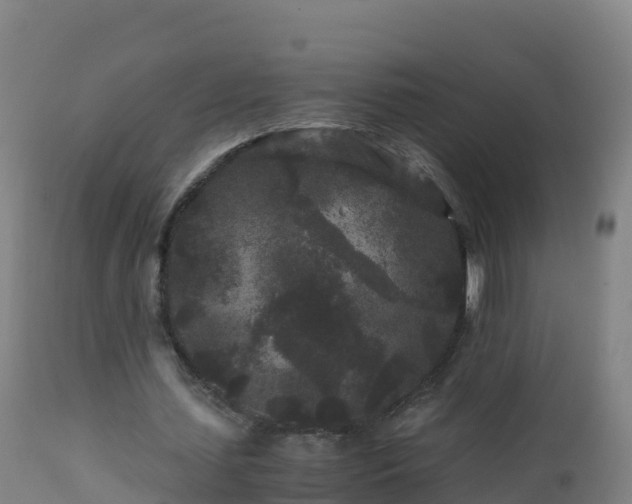 X0000112900627200908281726