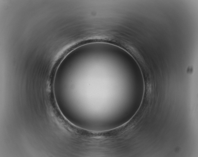 X0000112900628200908281726