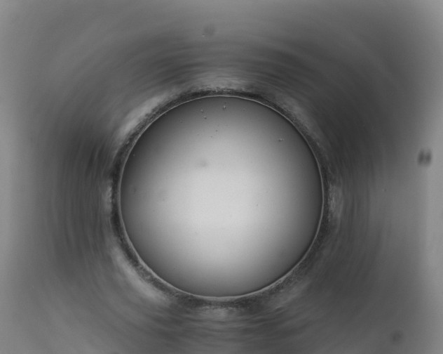 X0000112900629200908281726