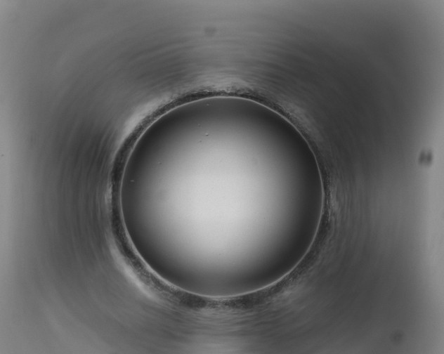 X0000112900630200908281726