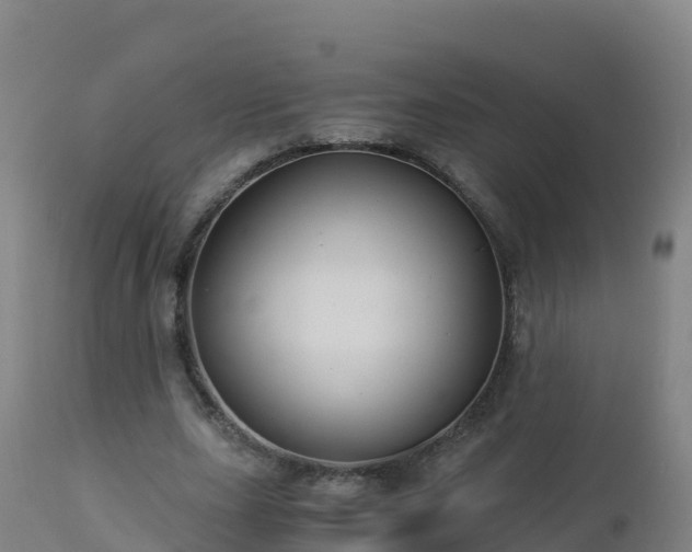 X0000112900631200908281726