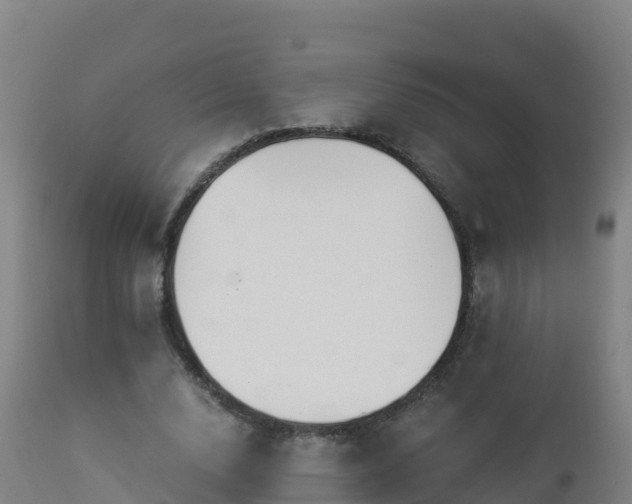 X0000112900632200908281726