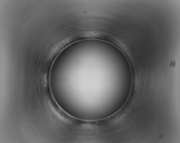 X0000112900633200908281726