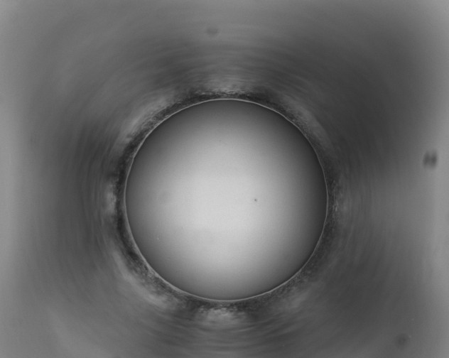 X0000112900635200908281726