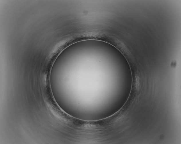 X0000112900636200908281726