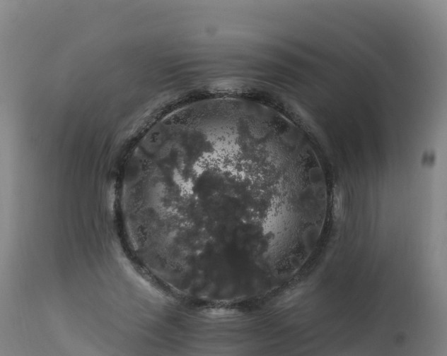 X0000112900637200908281726