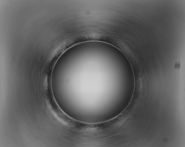 X0000112900638200908281726