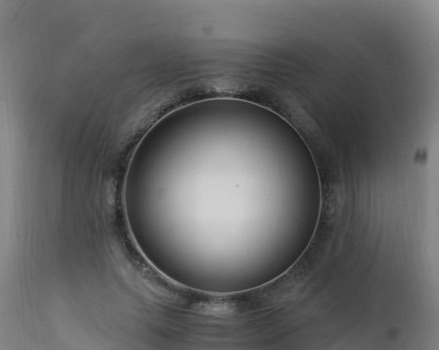 X0000112900639200908281726