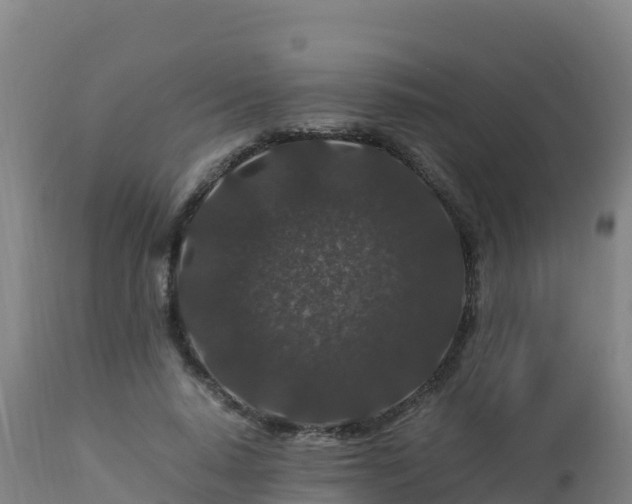 X0000112900640200908281726