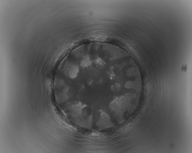 X0000112900641200908281726