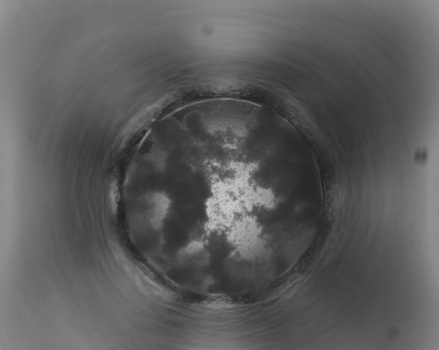 X0000112900644200908281726