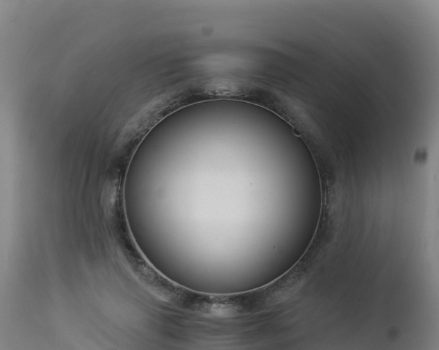 X0000112900645200908281726