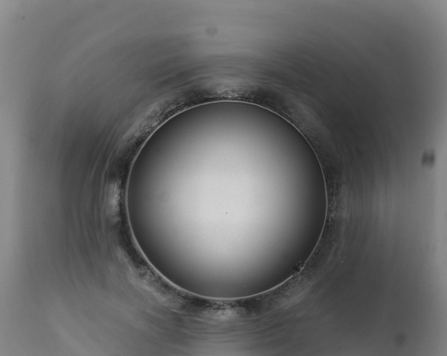 X0000112900646200908281726