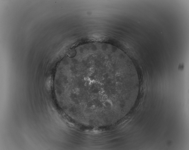 X0000112900647200908281726