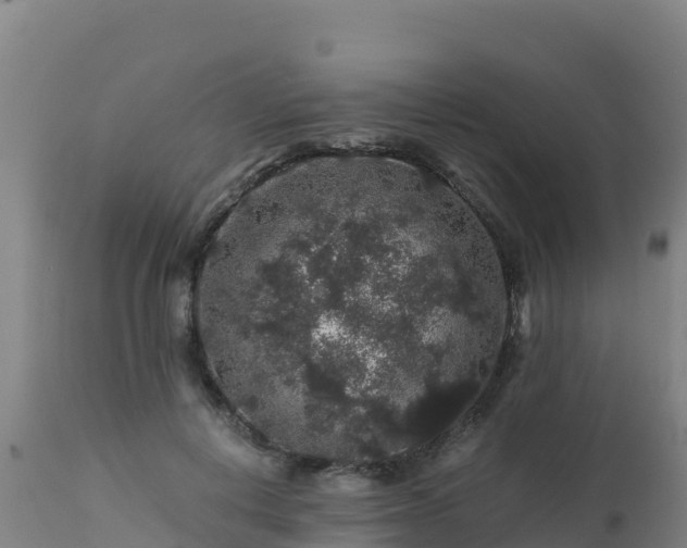 X0000112900648200908281726