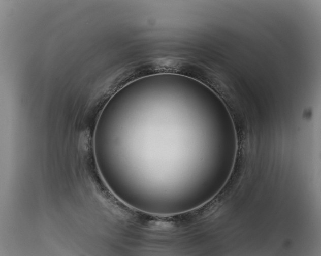 X0000112900649200908281726