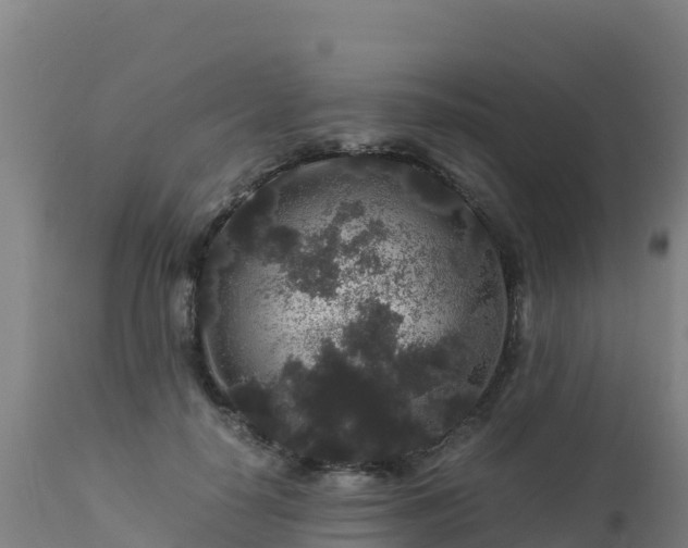 X0000112900650200908281726