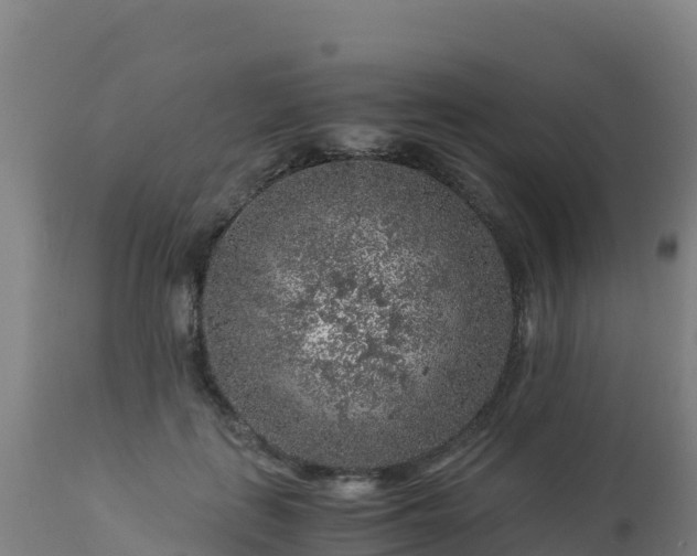 X0000112900651200908281726