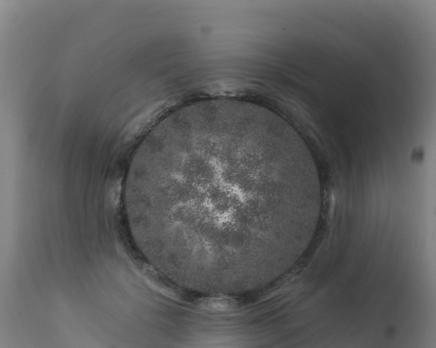 X0000112900652200908281726