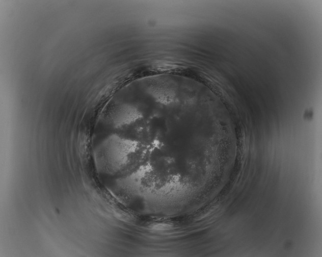 X0000112900653200908281726