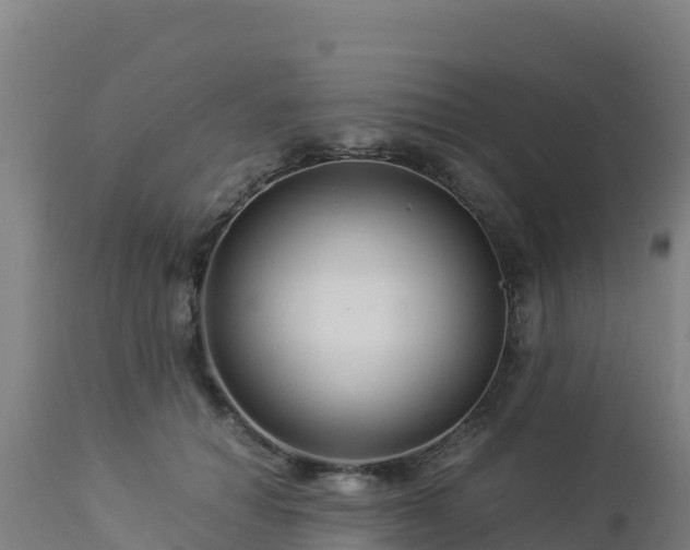 X0000112900654200908281726