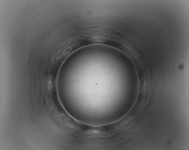 X0000112900655200908281726