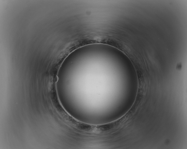 X0000112900656200908281726