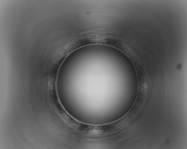 X0000112900658200908281726