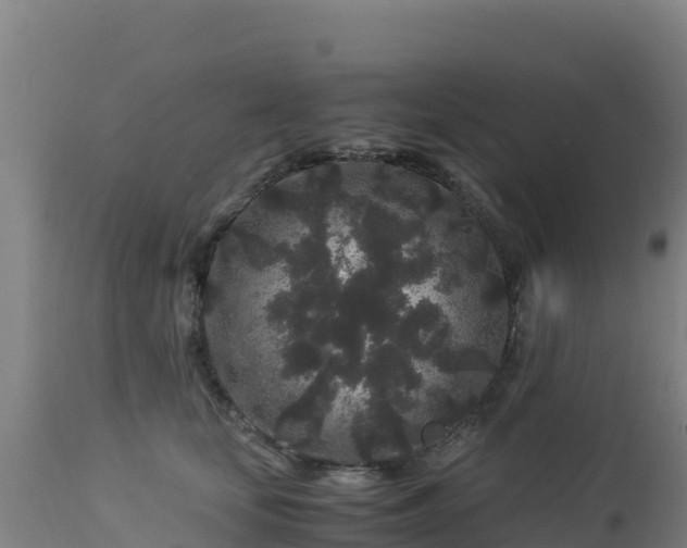 X0000112900659200908281726