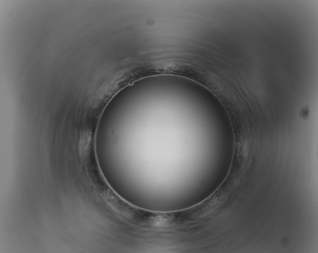 X0000112900660200908281726