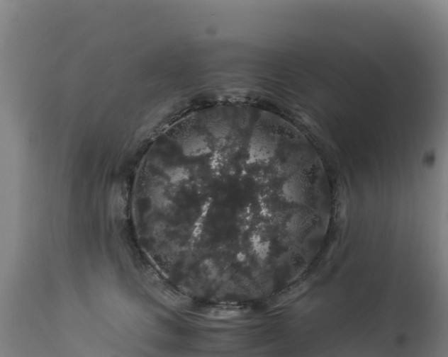 X0000112900661200908281726