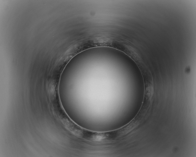 X0000112900662200908281726