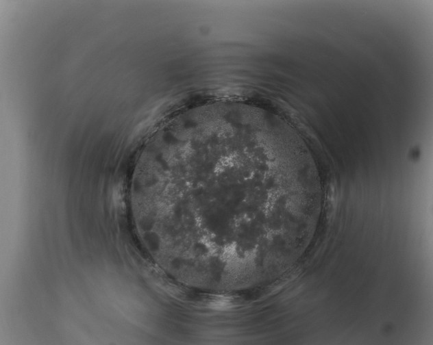 X0000112900663200908281726