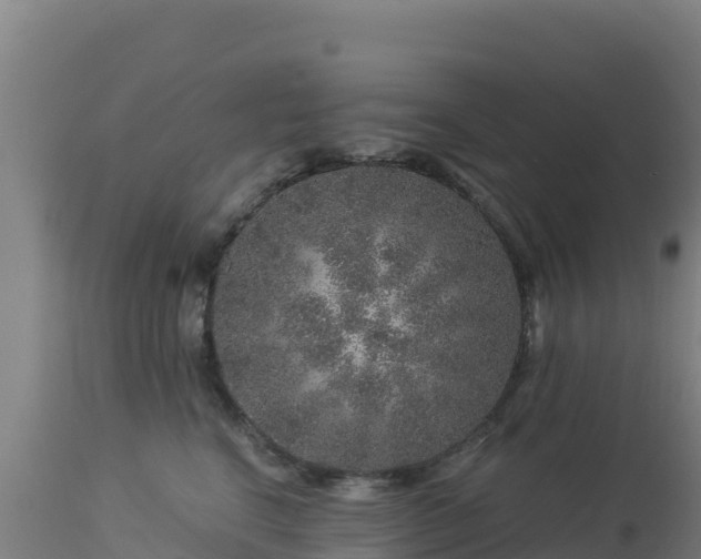 X0000112900664200908281727