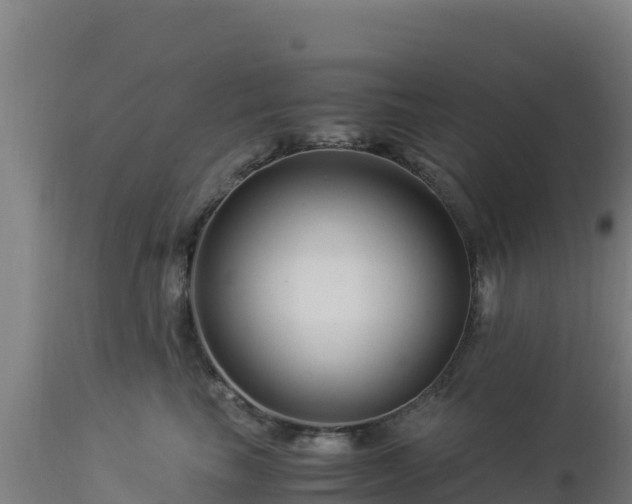 X0000112900665200908281727