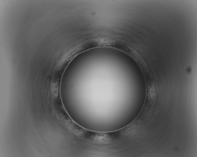 X0000112900666200908281727