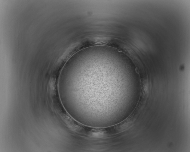 X0000112900667200908281727