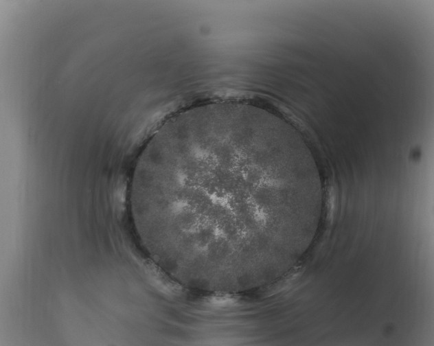 X0000112900668200908281727