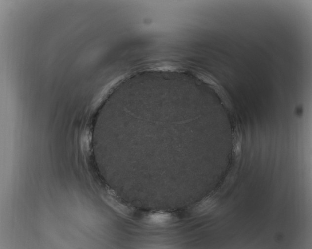 X0000112900669200908281727