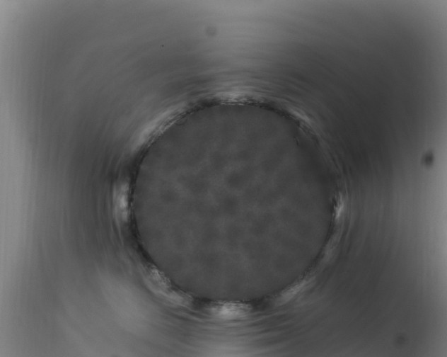 X0000112900670200908281727