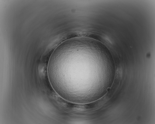 X0000112900671200908281727