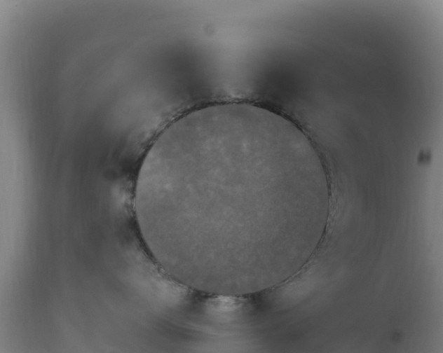 X0000112900672200908281727