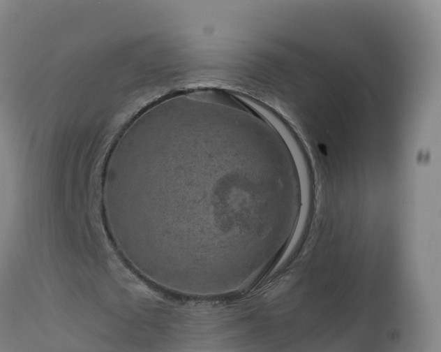 X0000112900673200908281726