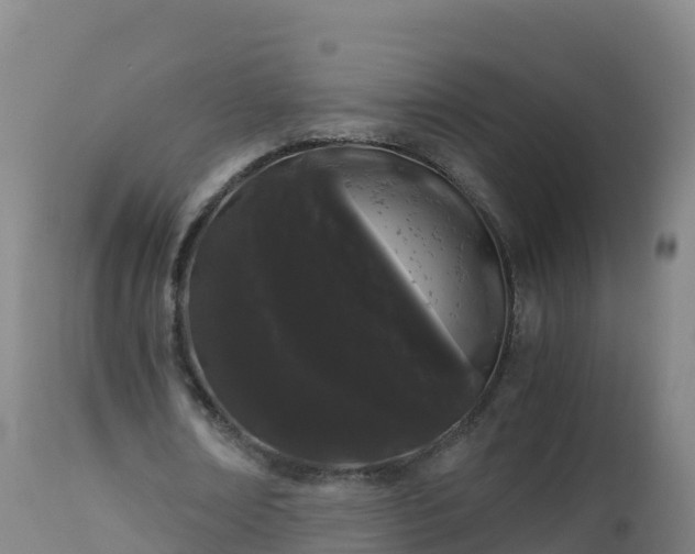 X0000112900674200908281726