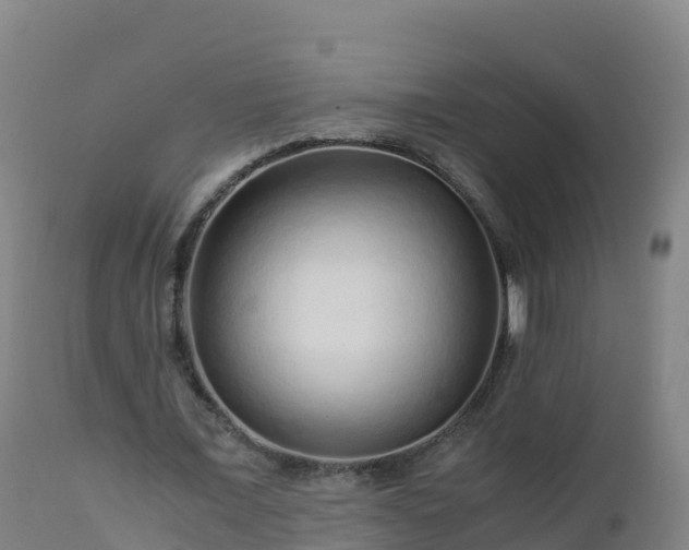 X0000112900675200908281726